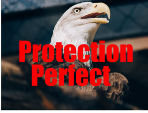 Eagle Protection Perfect With Text